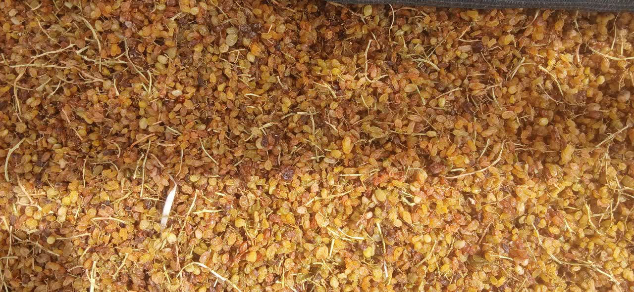 Sun-Dried Raisins