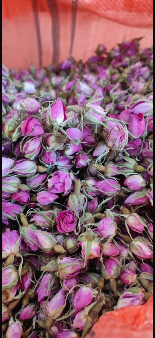 Dried Rose Petals