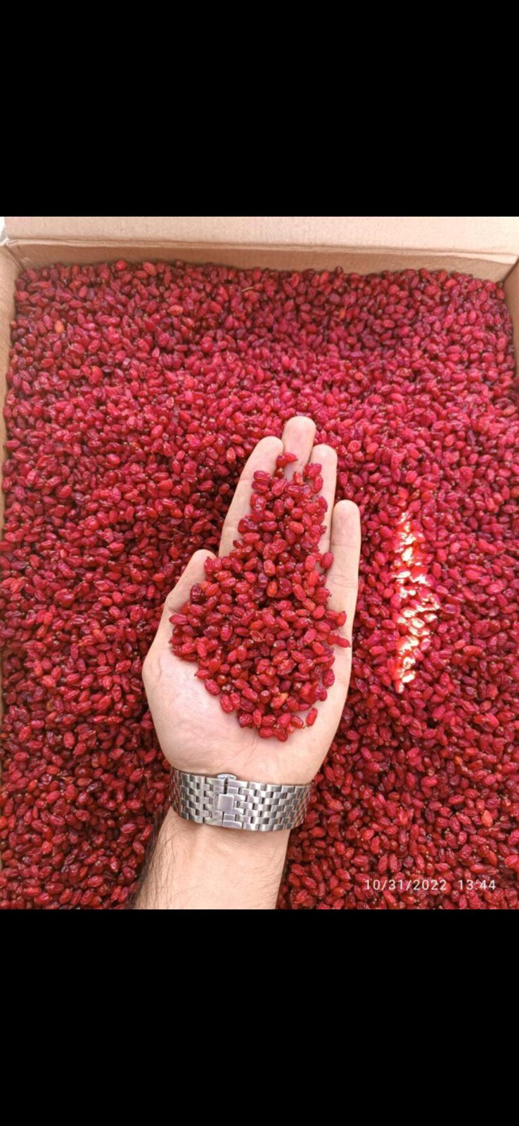 Premium Barberries