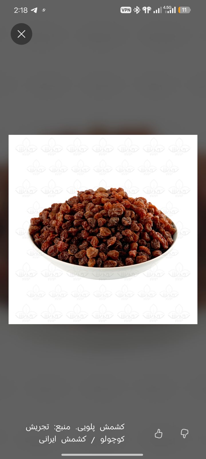 Premium Iranian Raisins