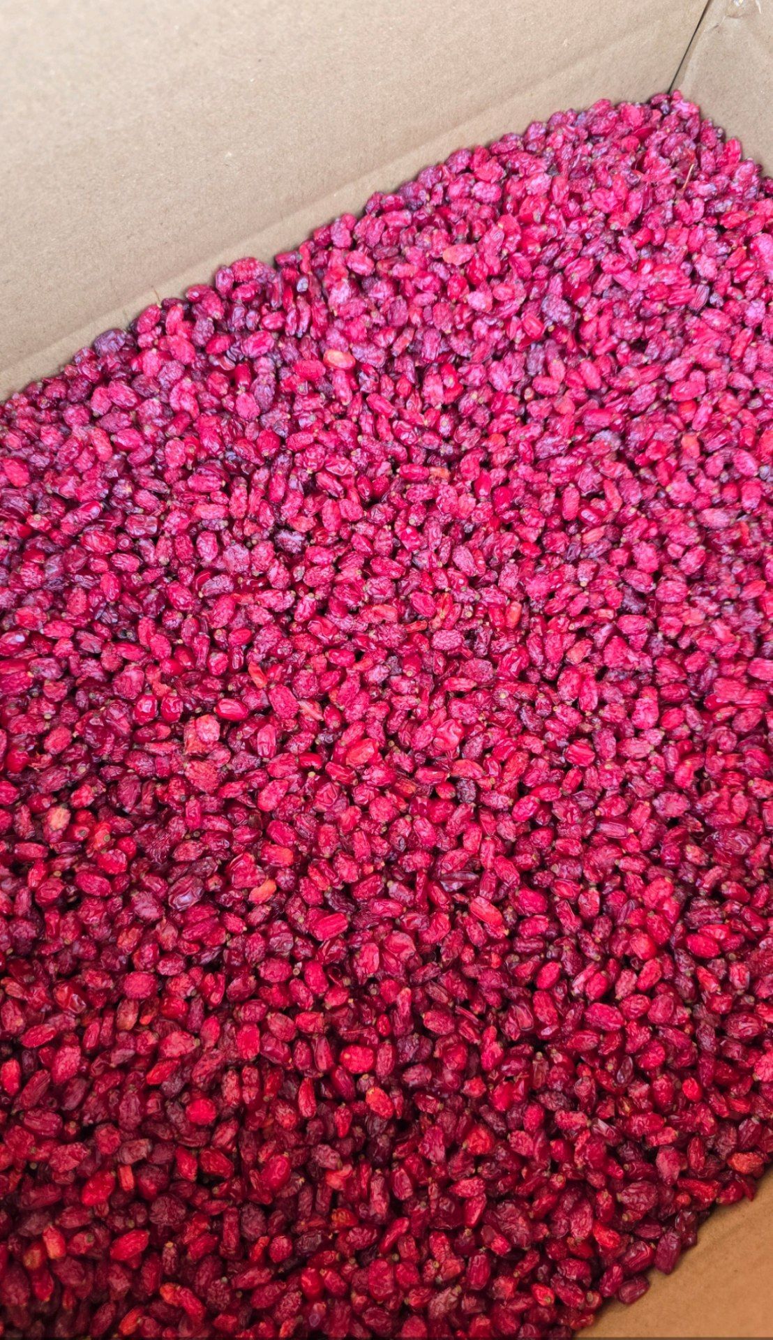 Puffed Barberry