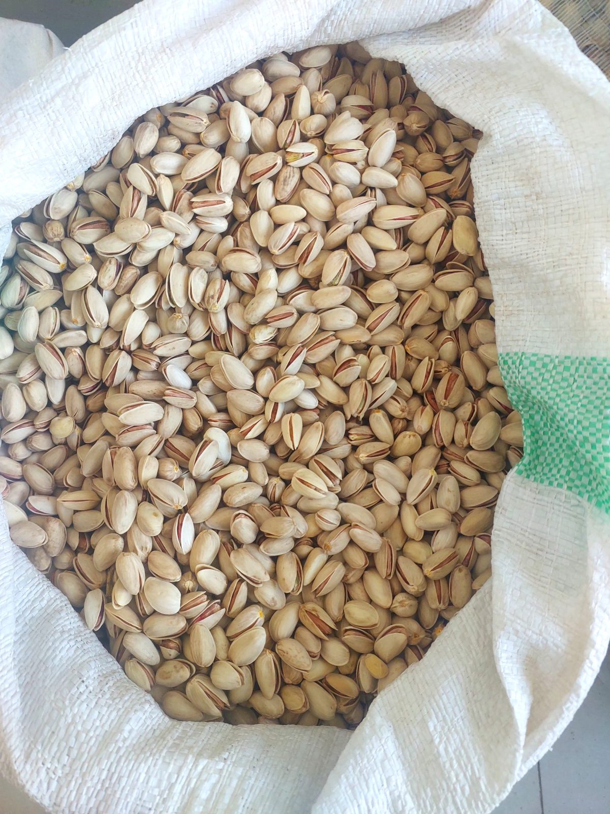 Ahmad Aghaei Pistachio, Grade 1
