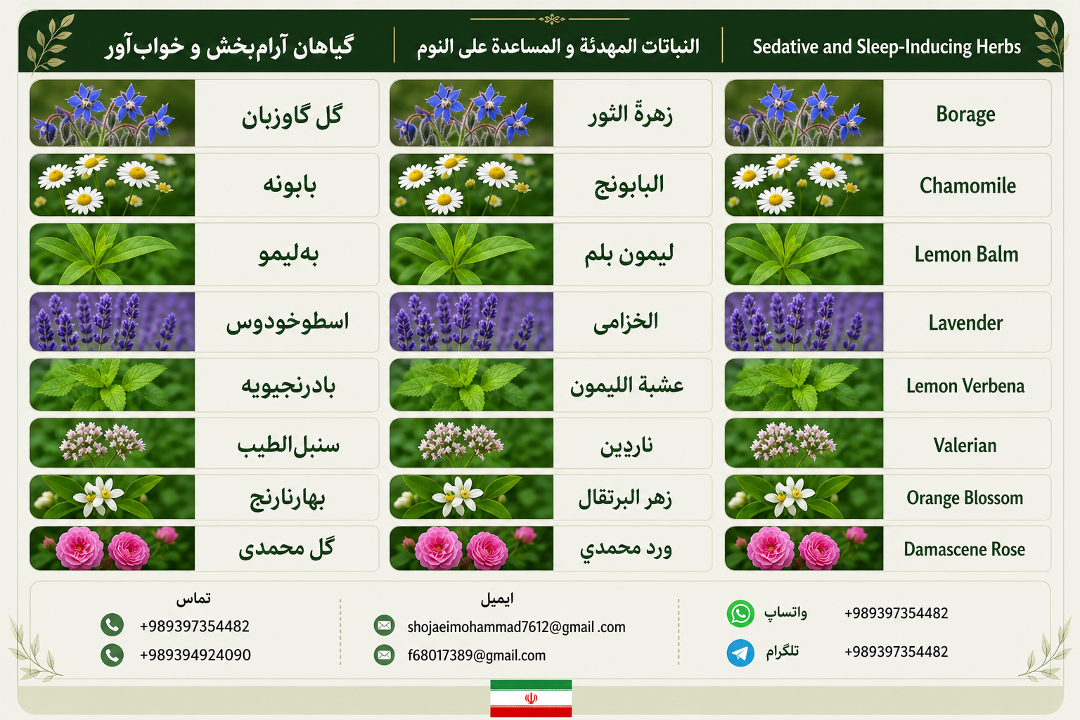 Calming and Sleep Herbs