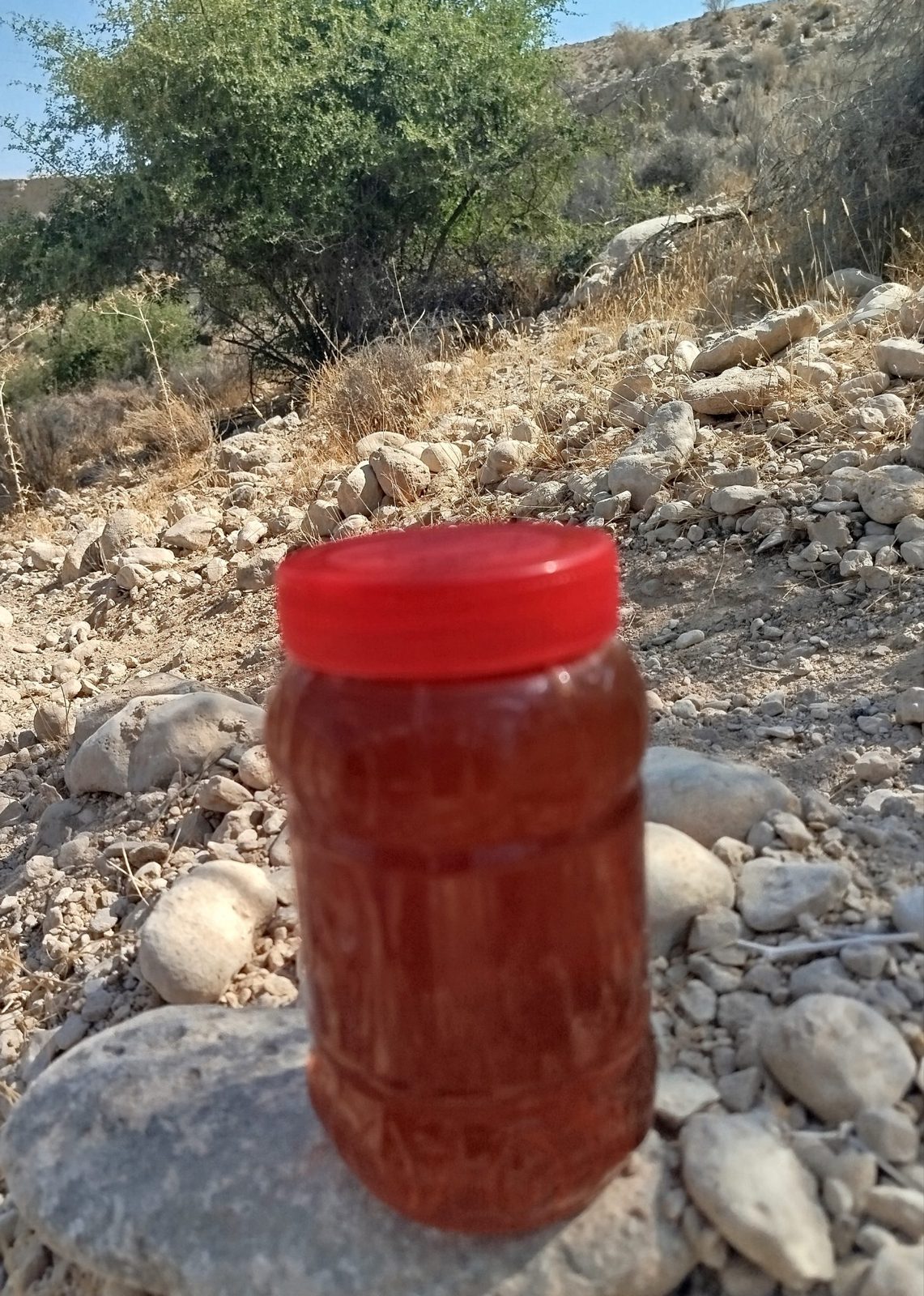 Sidr Honey