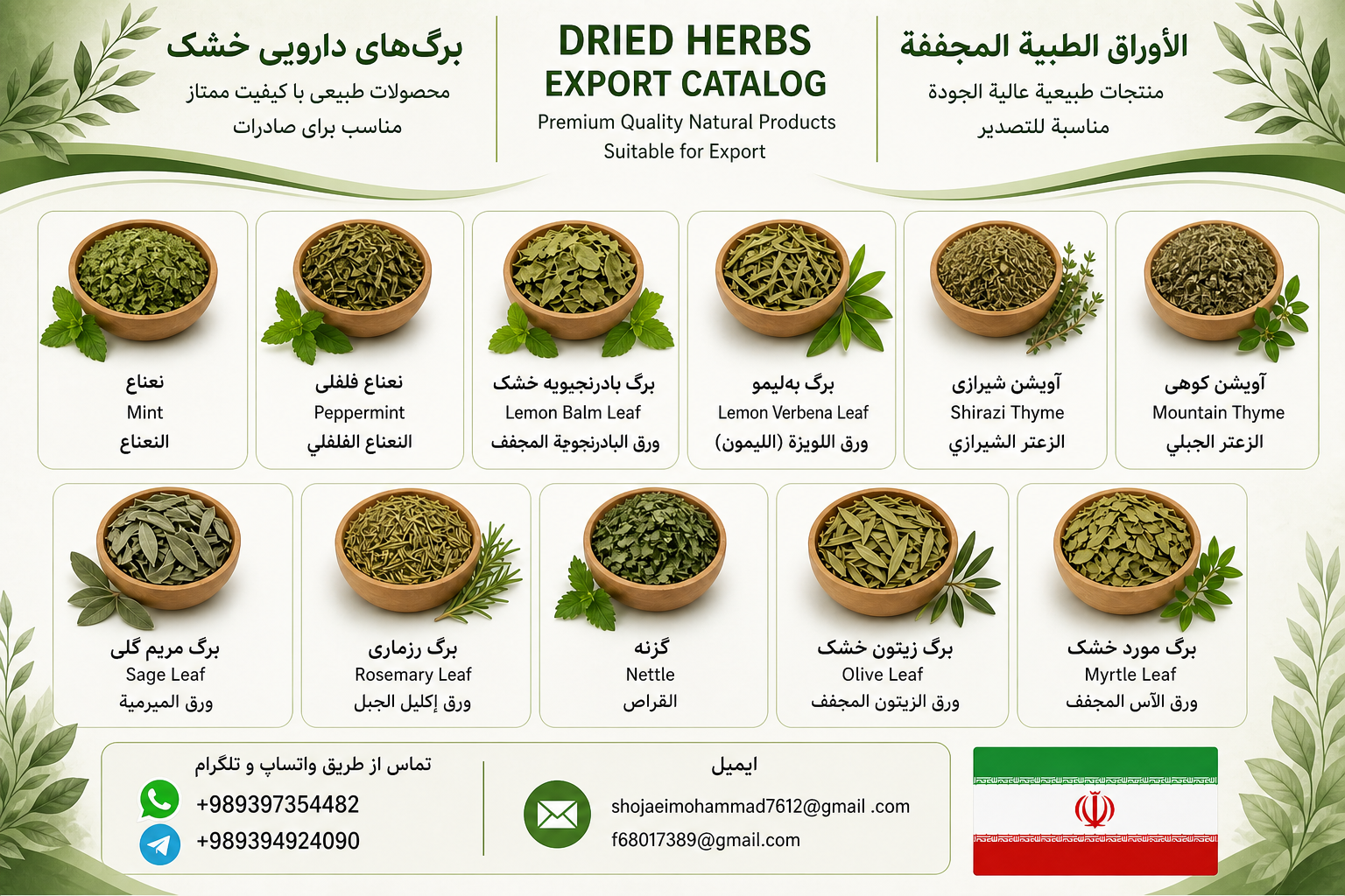 Iranian Export Dried Medicinal Leaves