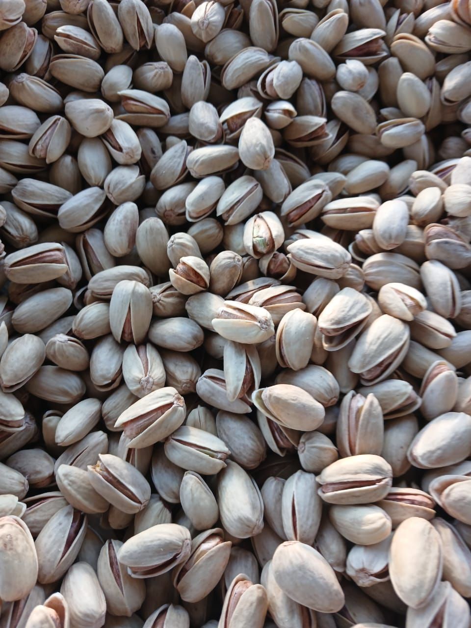 Grade 1 Akbari Pistachios