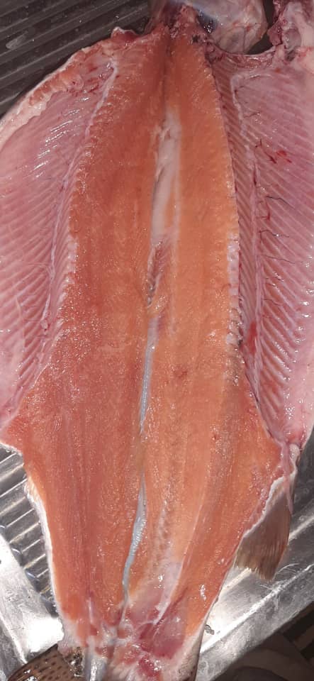 Premium Salmon and Trout
