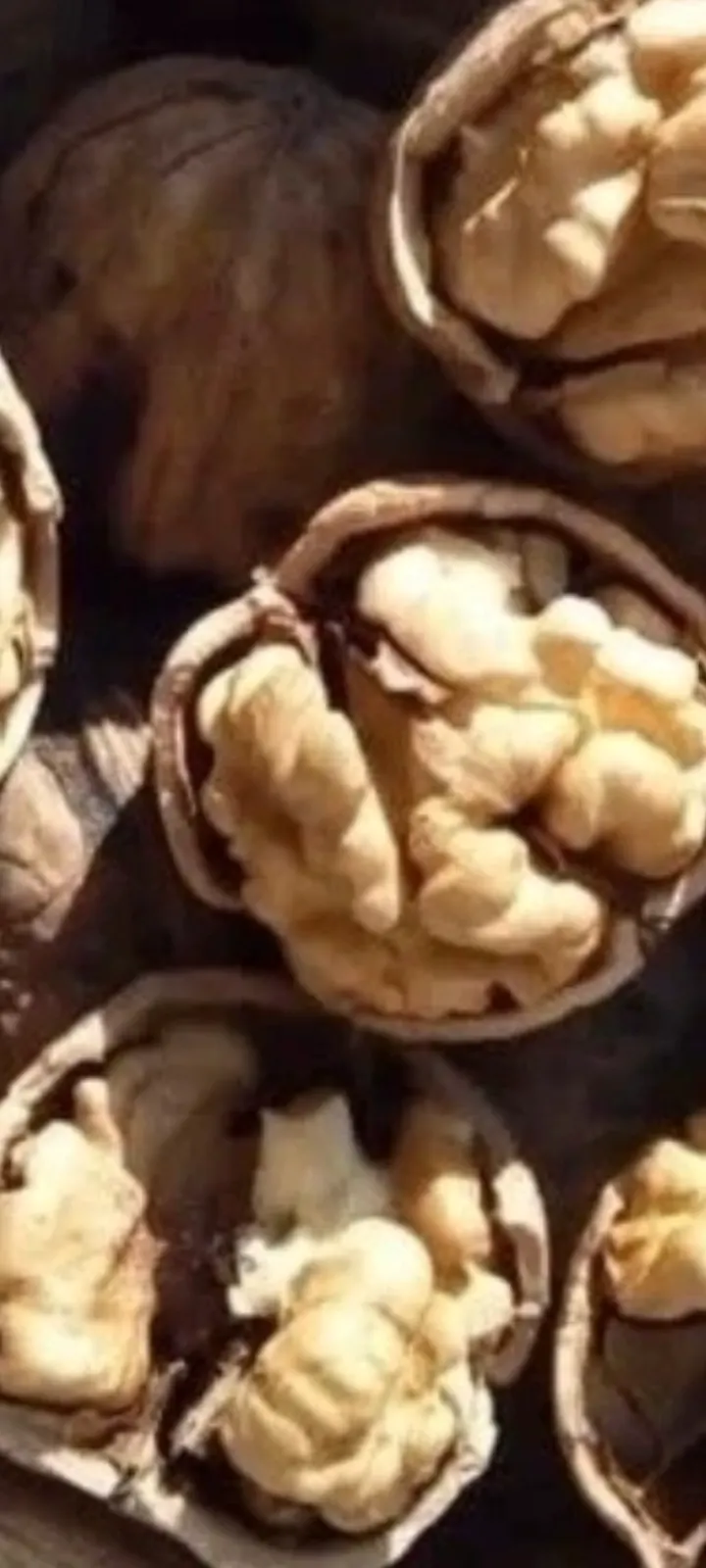 Premium Grade Walnut