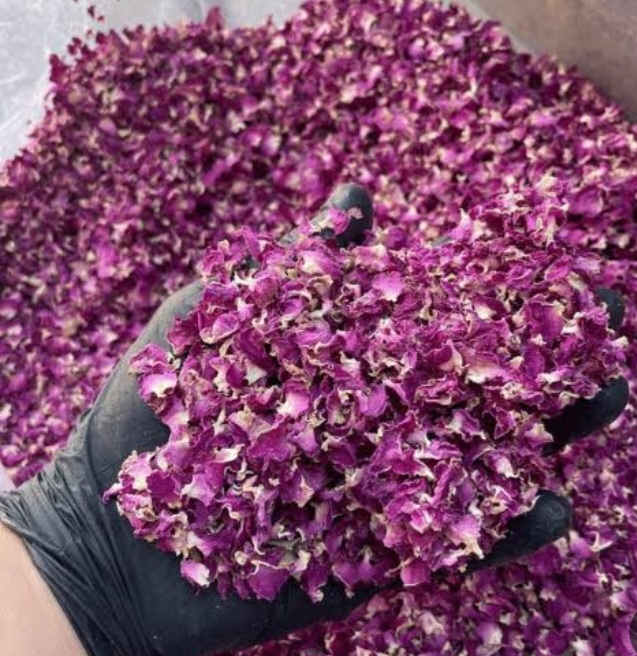 Dried Damask Rose
