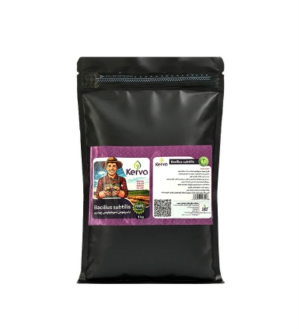 Bacillus Subtilis Solid Biofertilizer