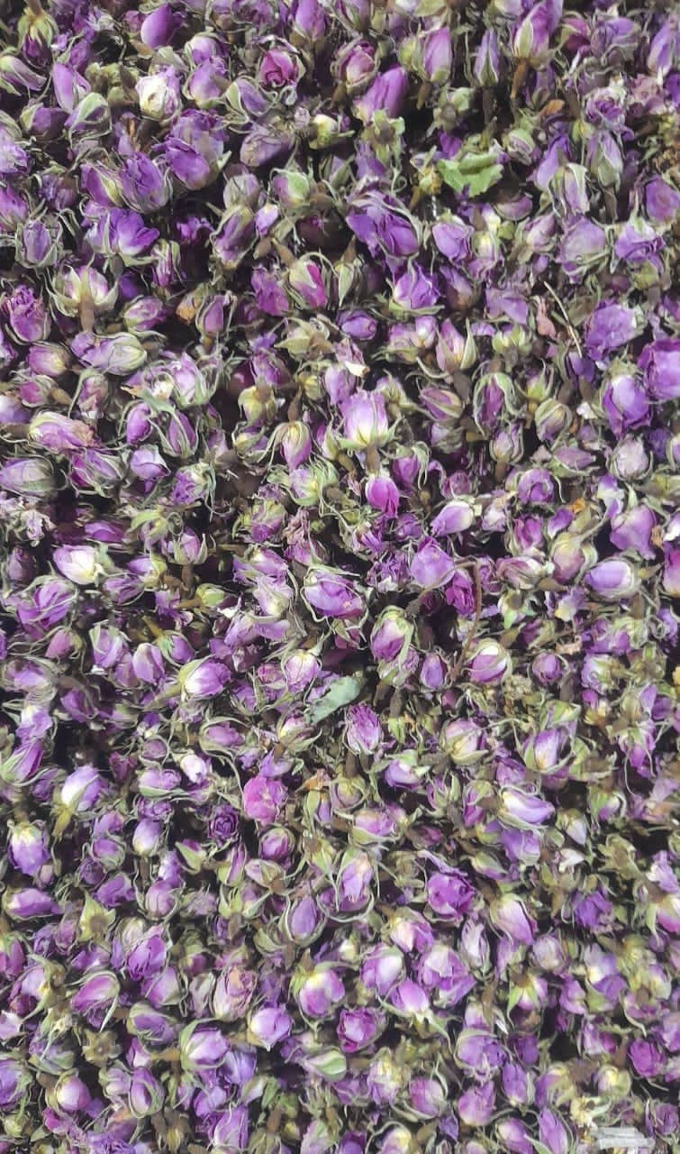 Fragrant Dried Damask Rose