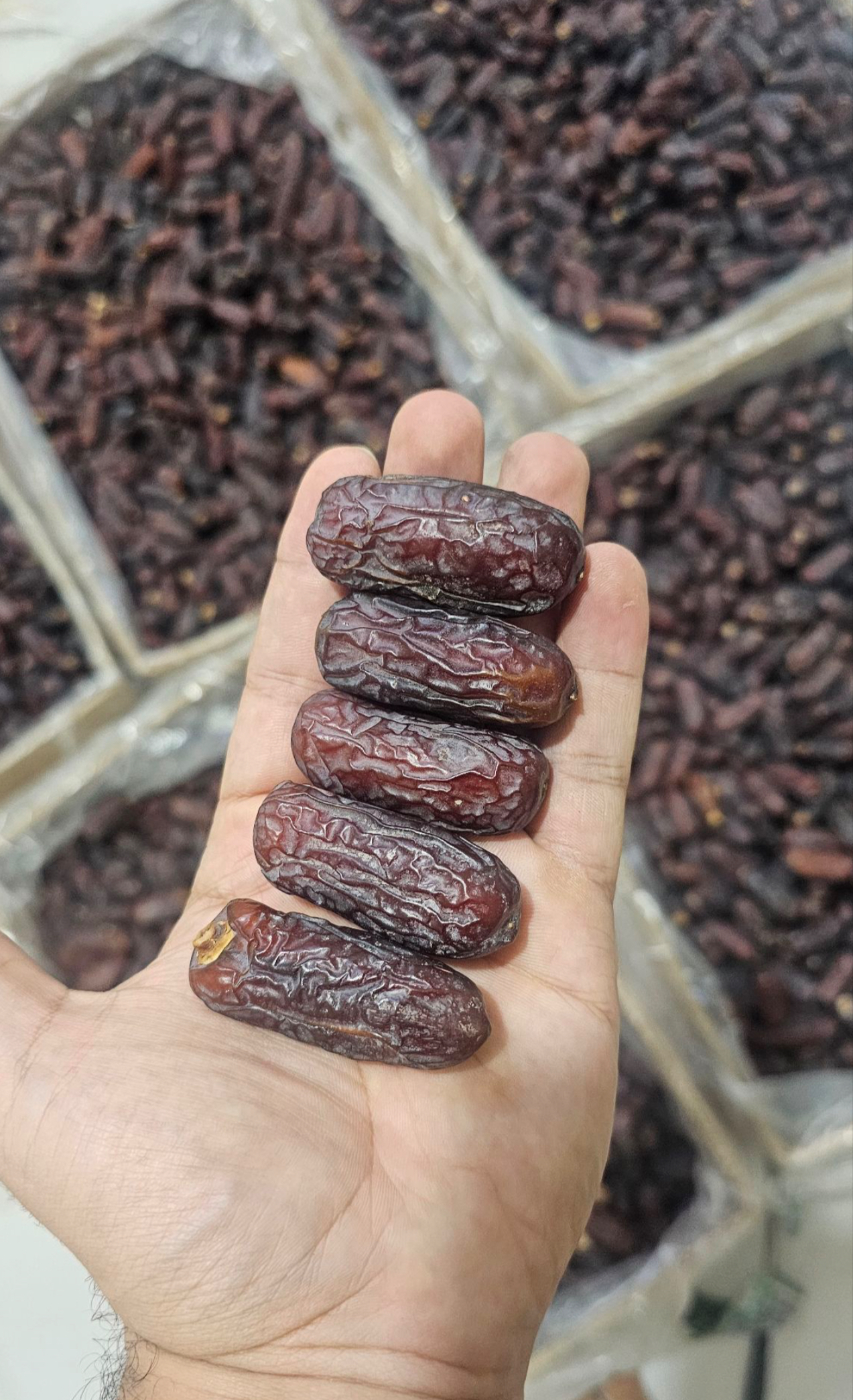 Export Piarom Dates