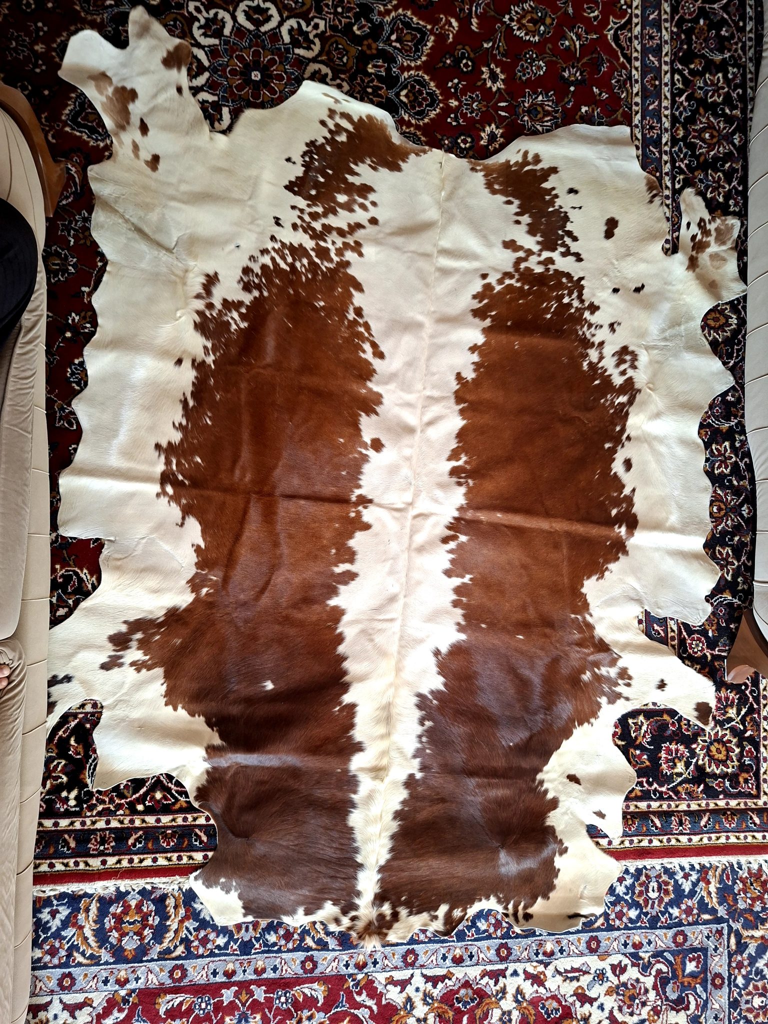 Natural Hide Pictorial Carpet