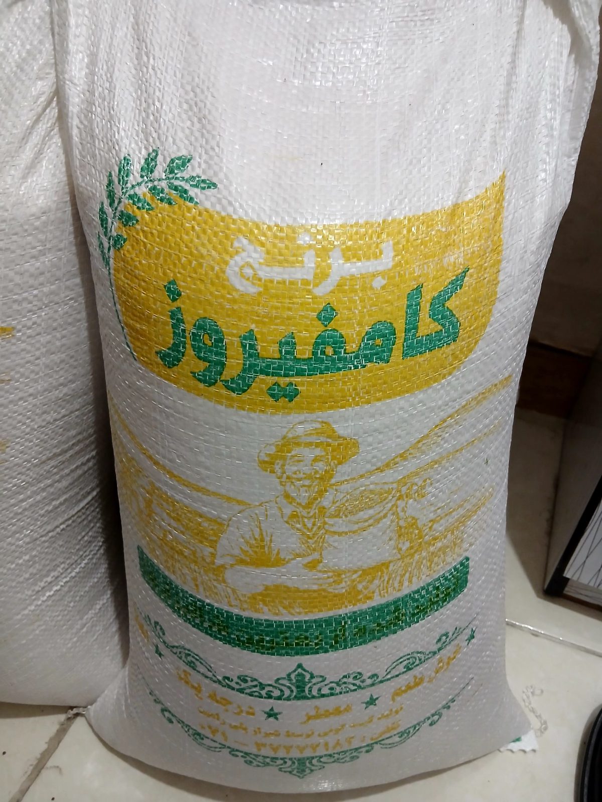 Rice