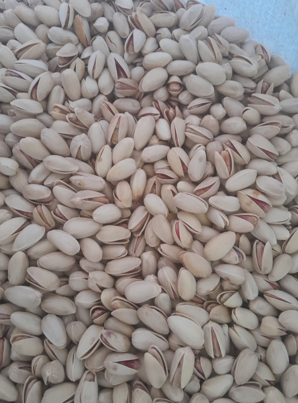 Akbari Pistachios