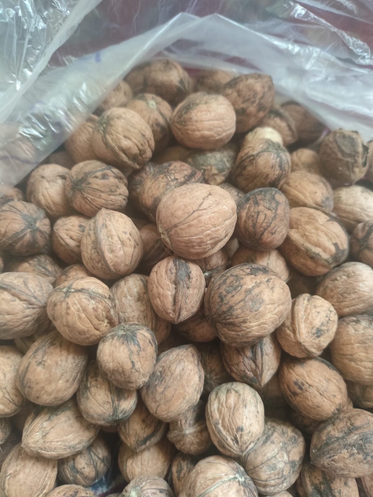 Finger Walnut