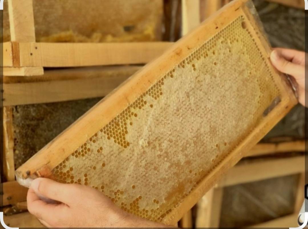 Honey