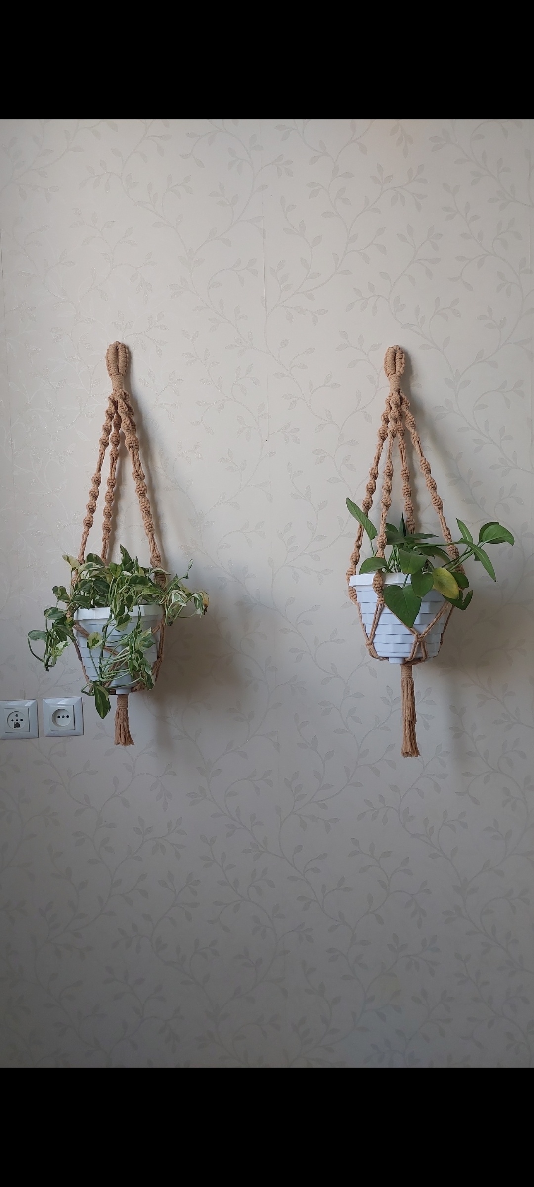 Plant Pot Hanger