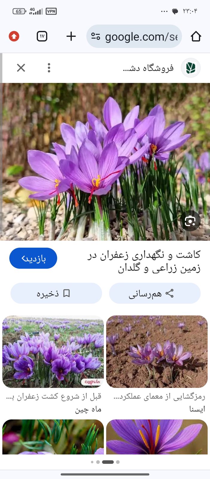 Premium Saffron
