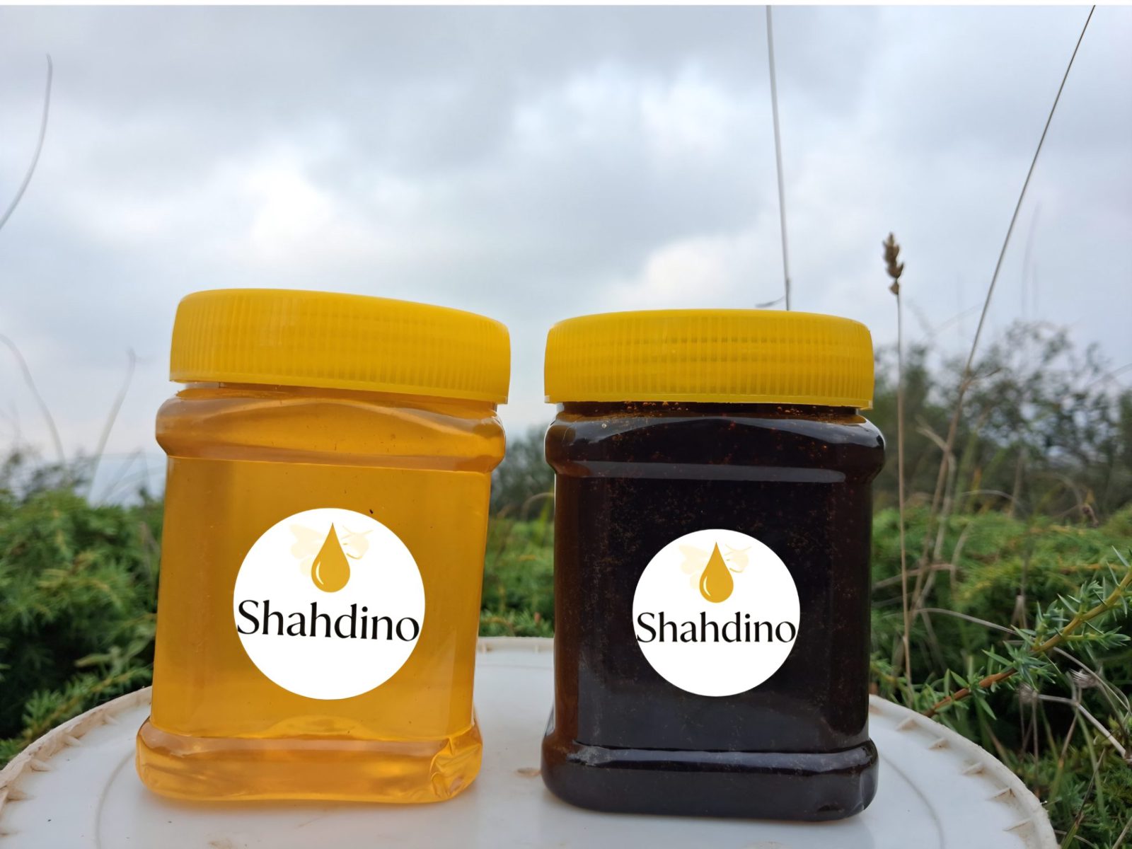 Black Honey and Mountain Honey