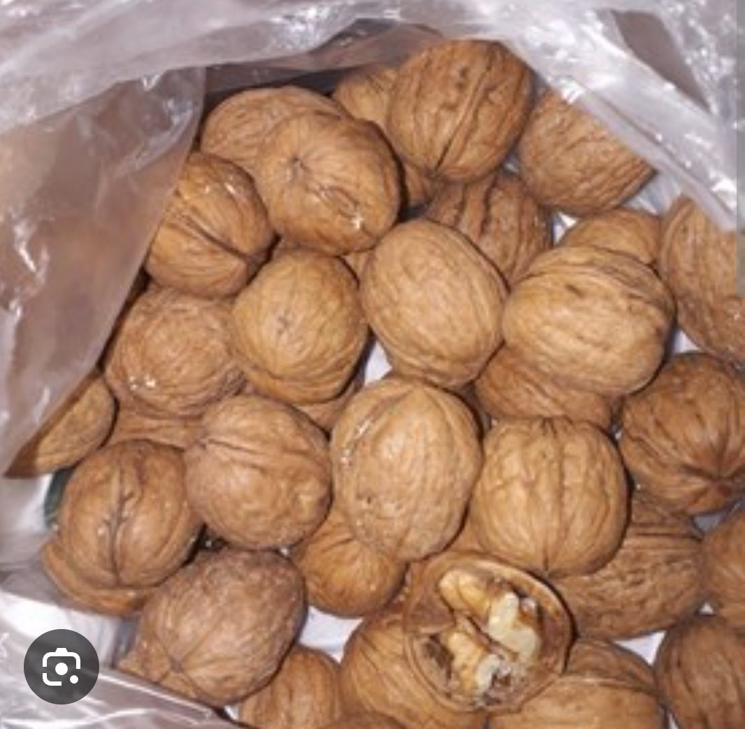 Premium White Paper-Shell Walnuts