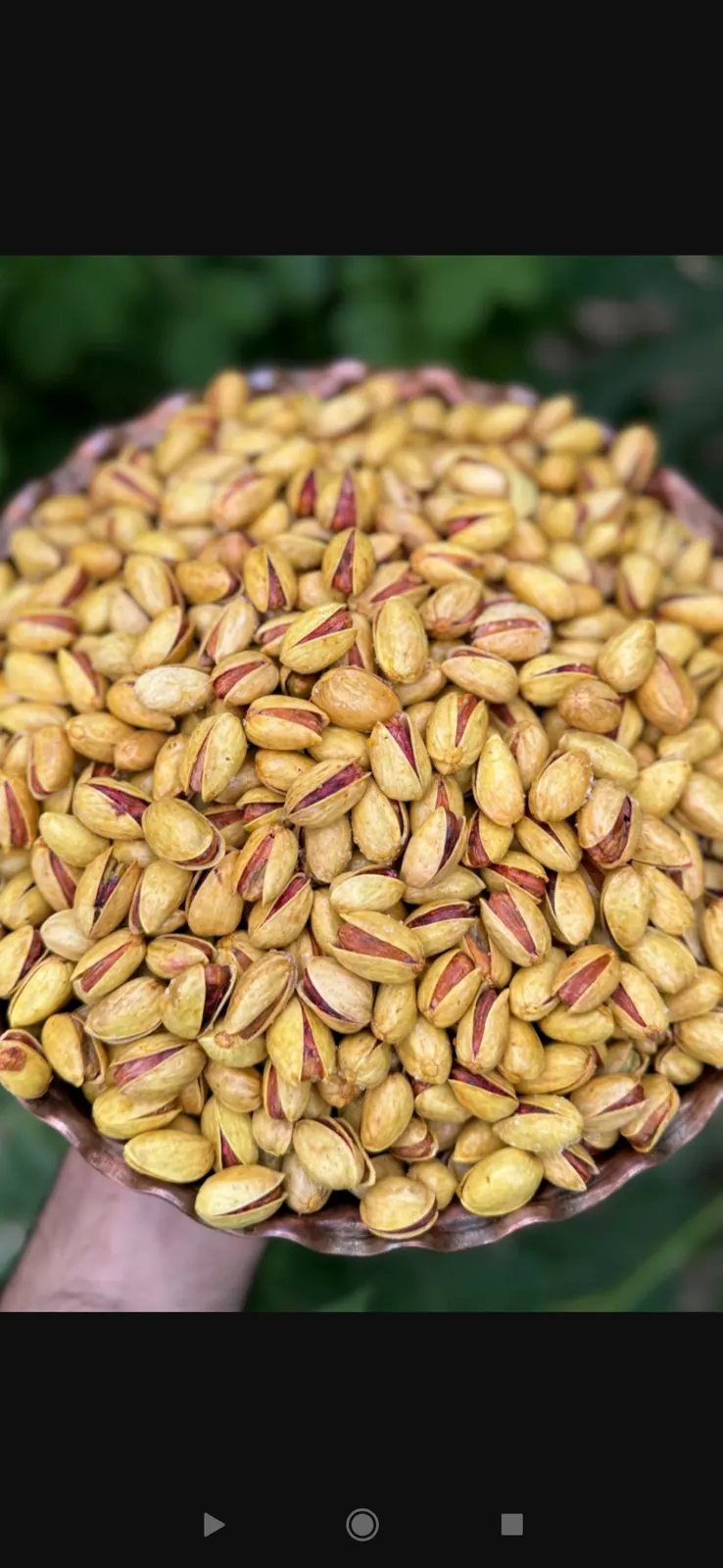 Nuts and Dried Fruits