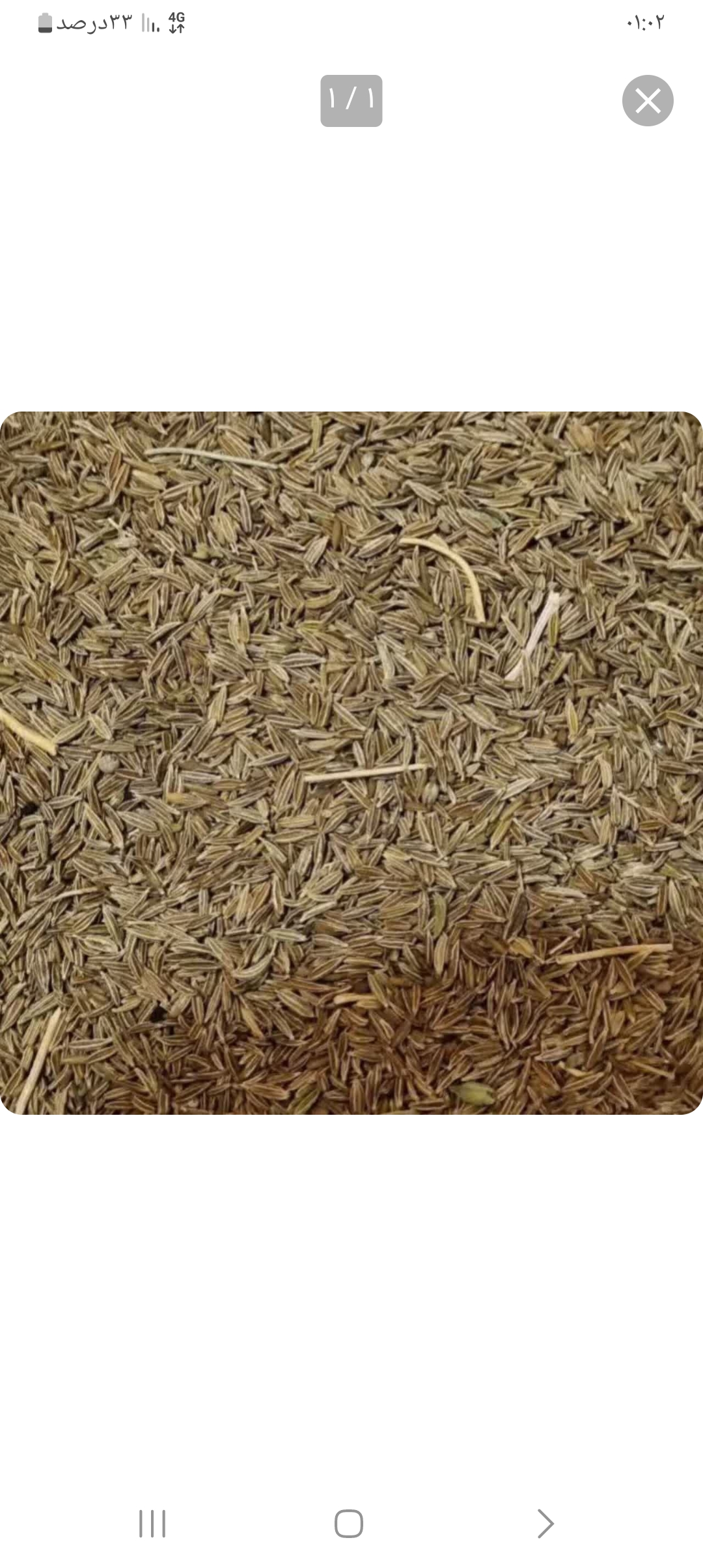 Cumin Seeds
