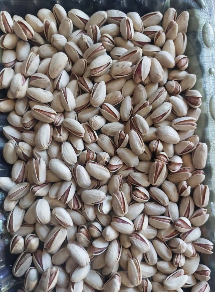 Premium Export Pistachios