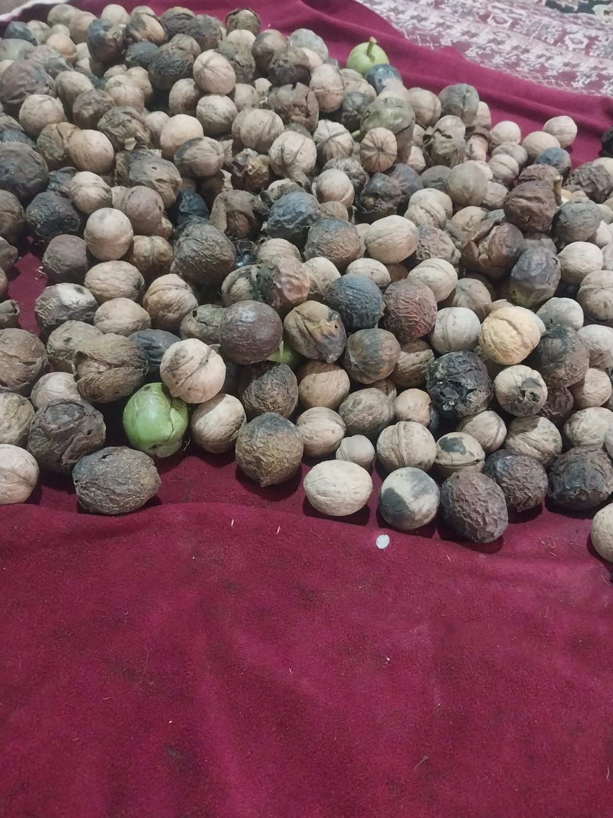 Walnuts