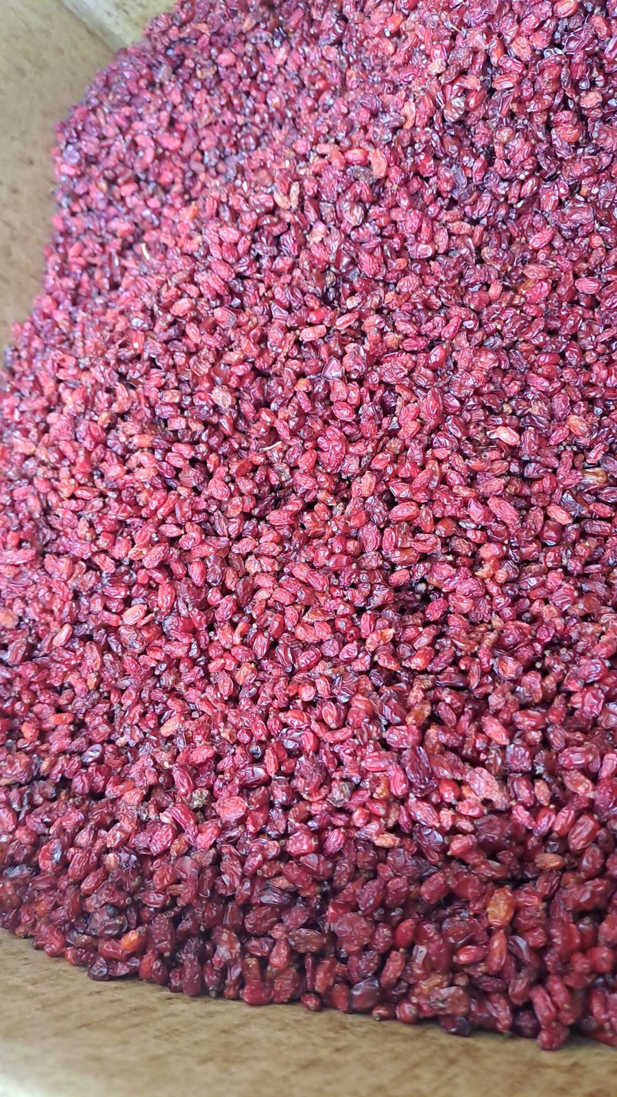 Iranian Barberry