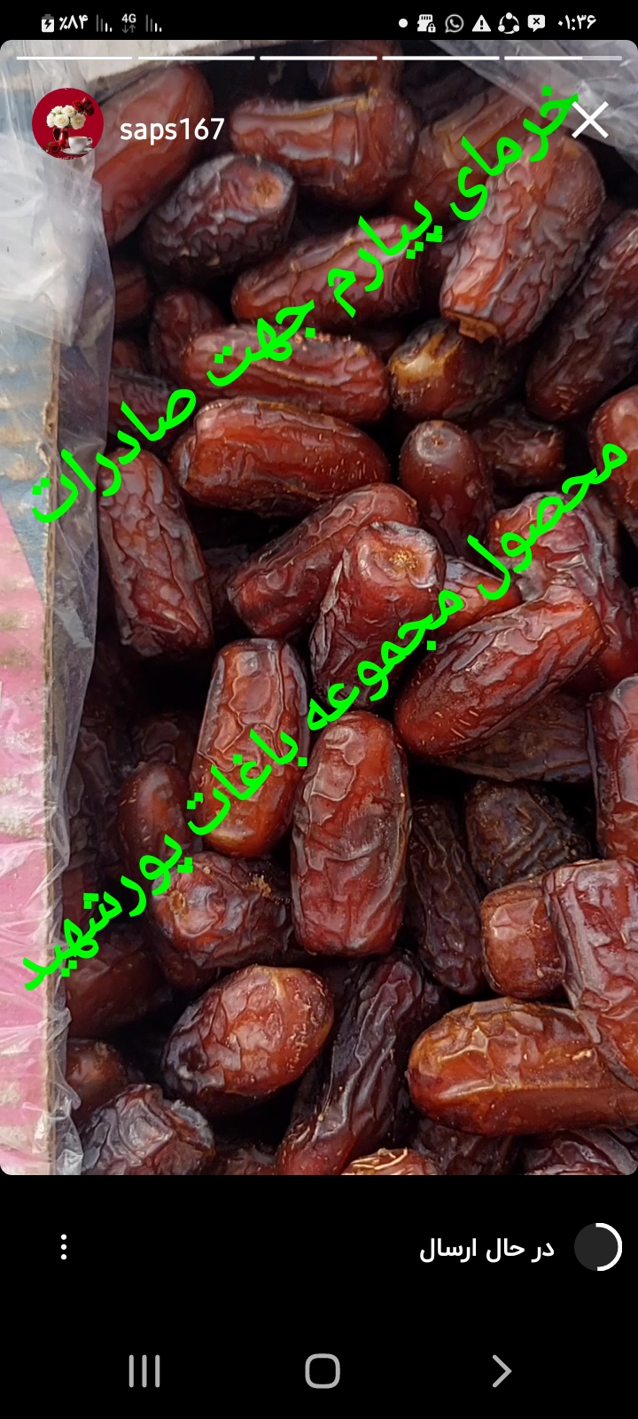 Date Fruit
