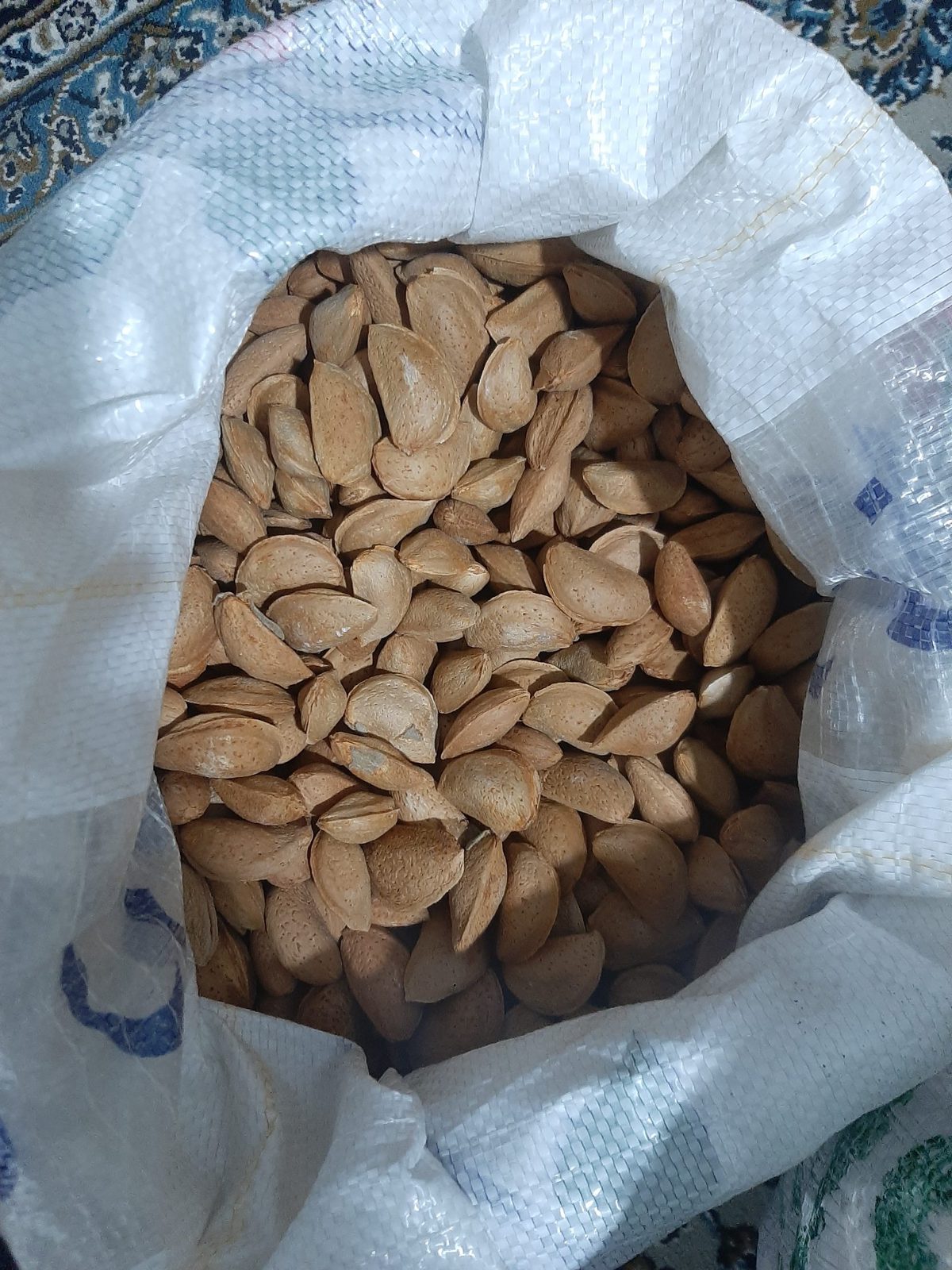 Organic Sweet Almonds
