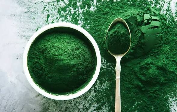 Spirulina Algae