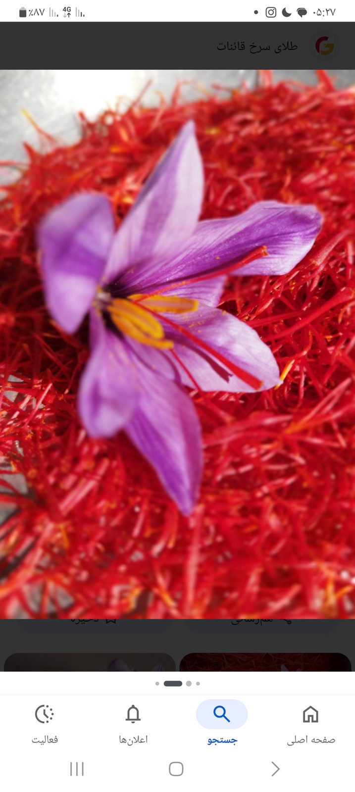 Premium Saffron Sargol