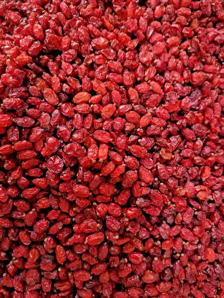 Puffy Barberry