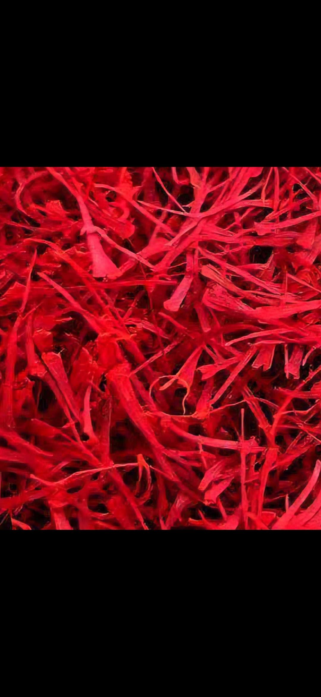 Premium Sargol Saffron