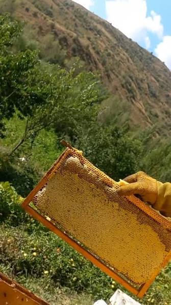 Qaradagh Honey