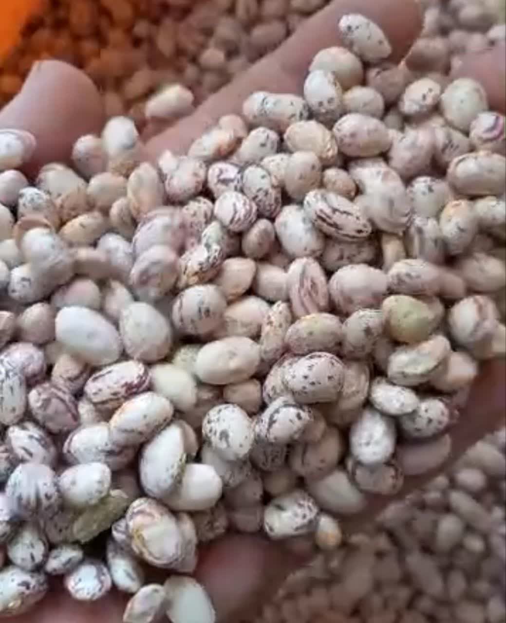 Beans, Raisins, Dates and Almonds