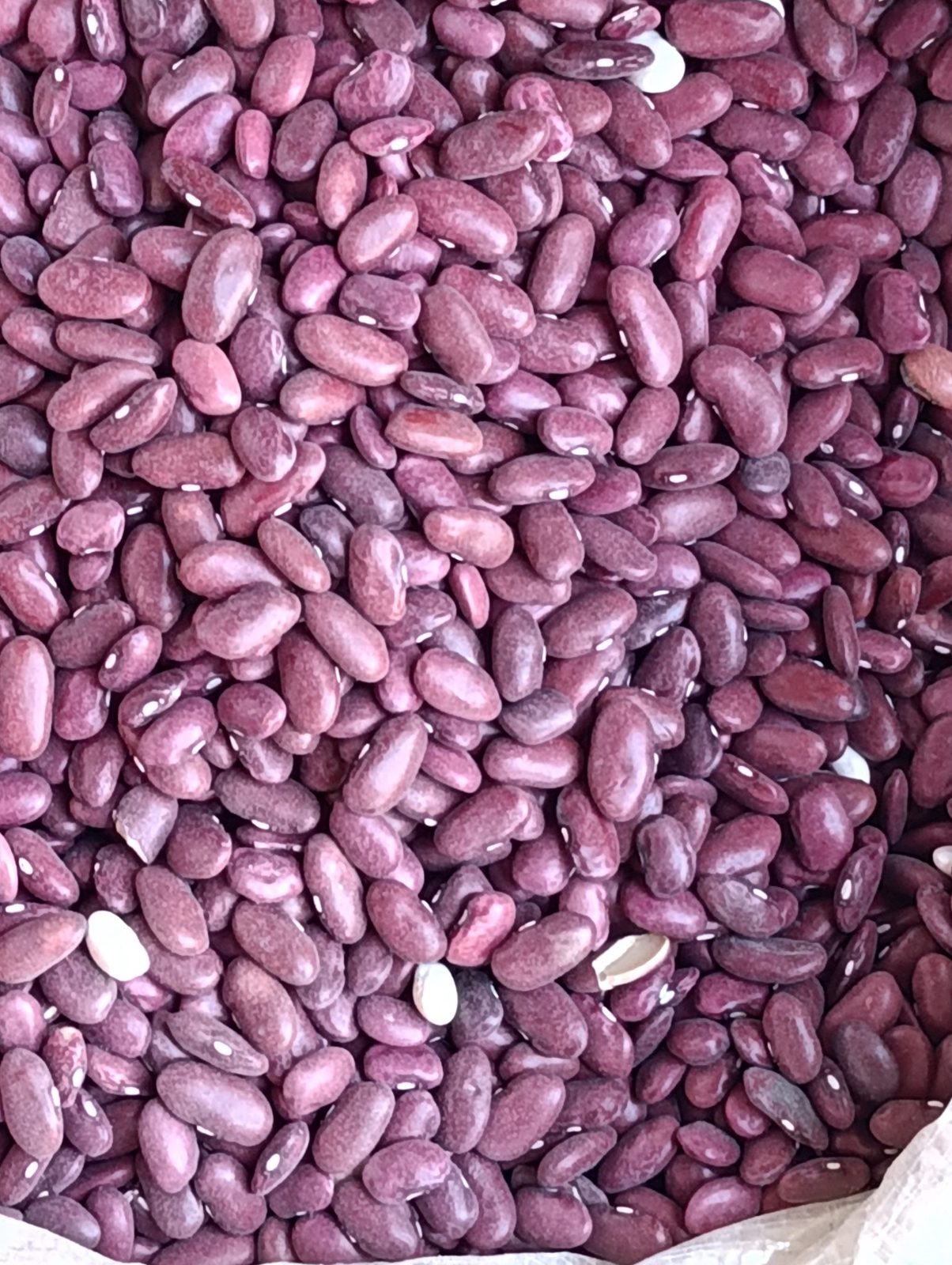 Chickpeas
