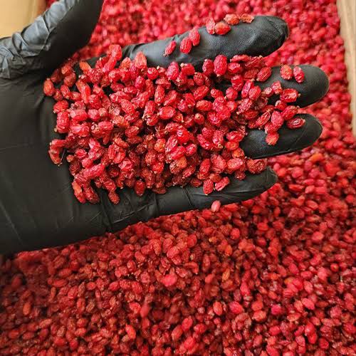 Puffy Barberry