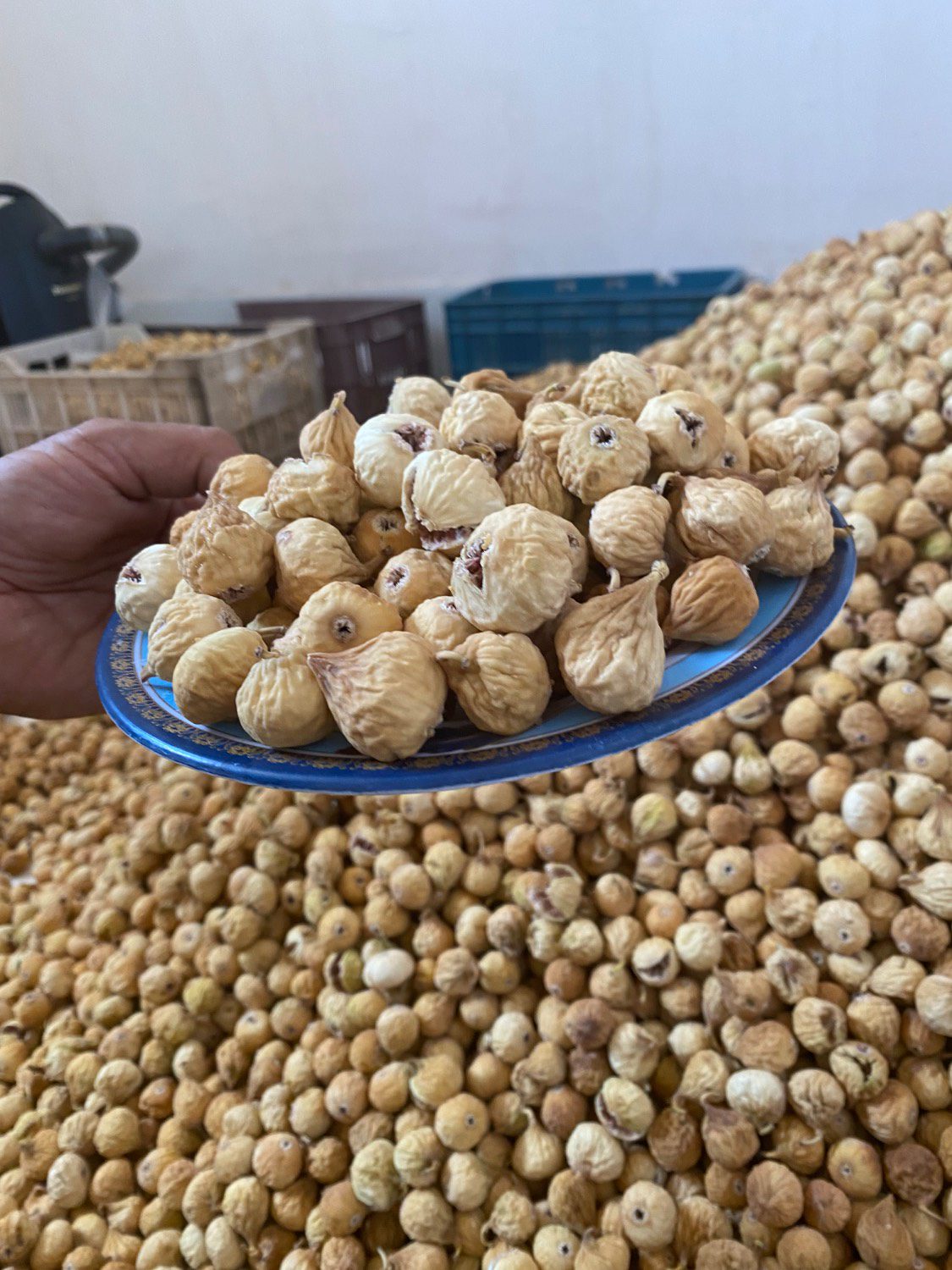 Estahban Dried Figs