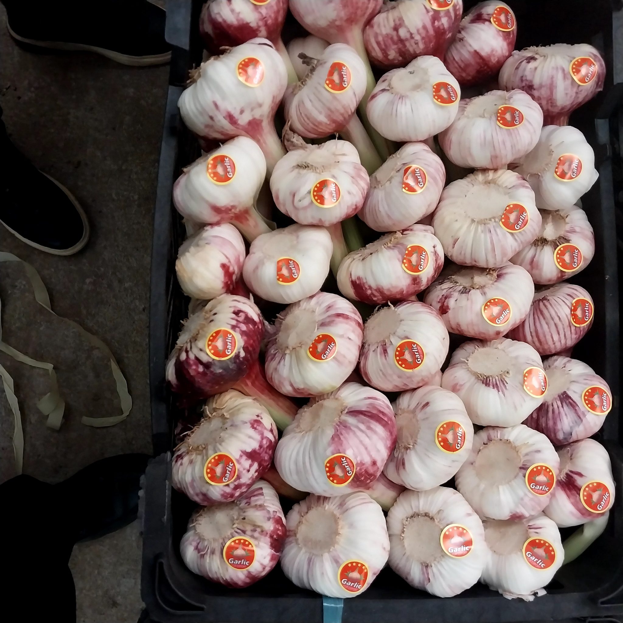Dried Garlic