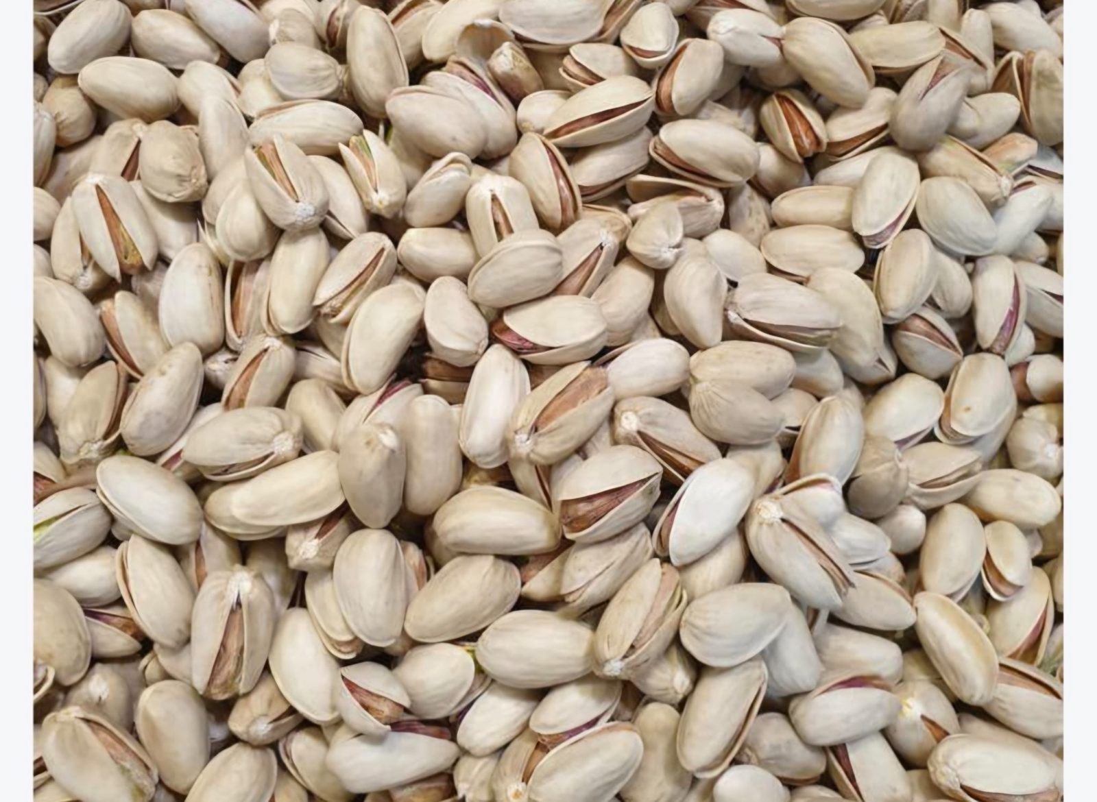 Akbari Pistachios