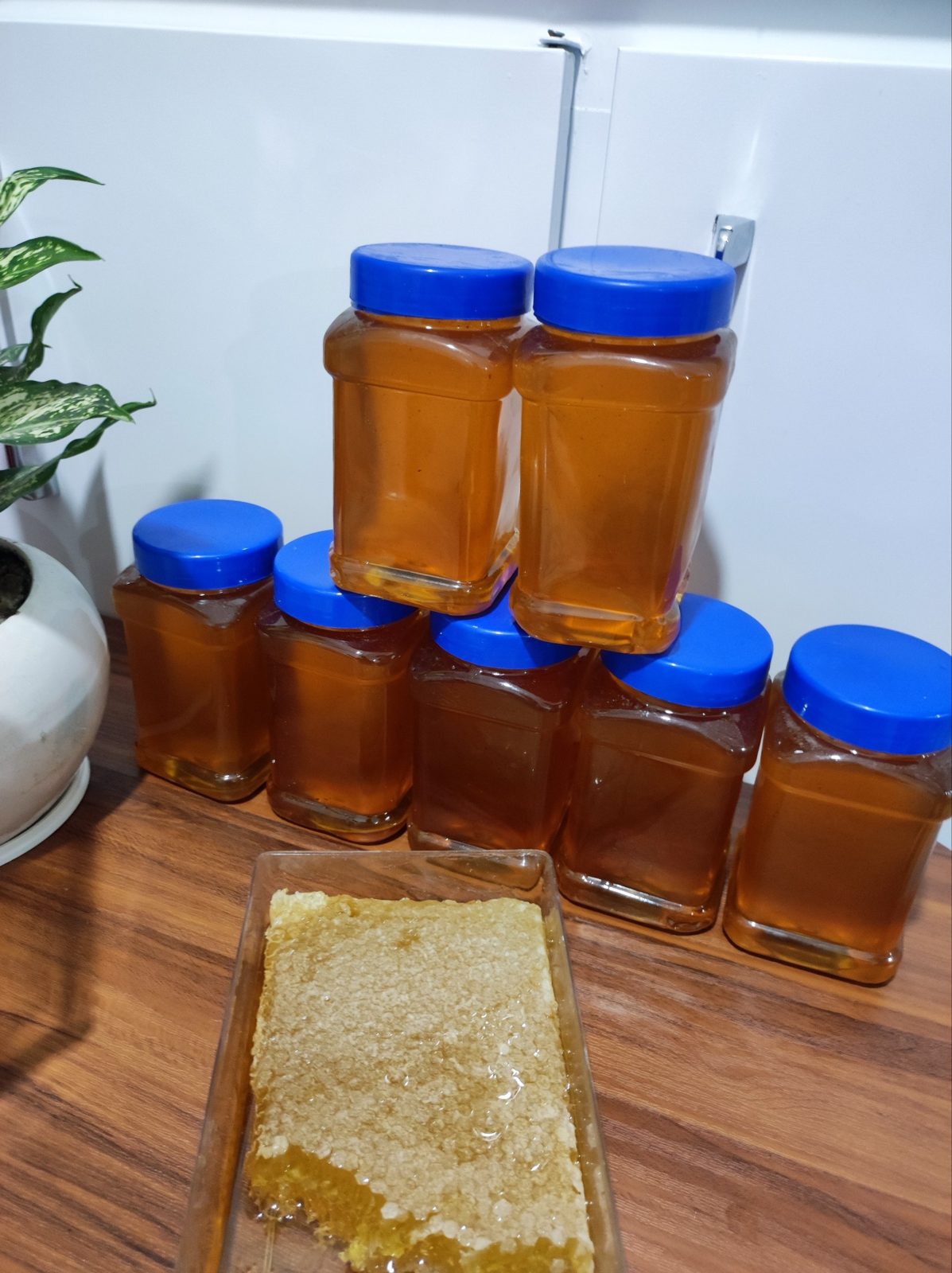 Honey