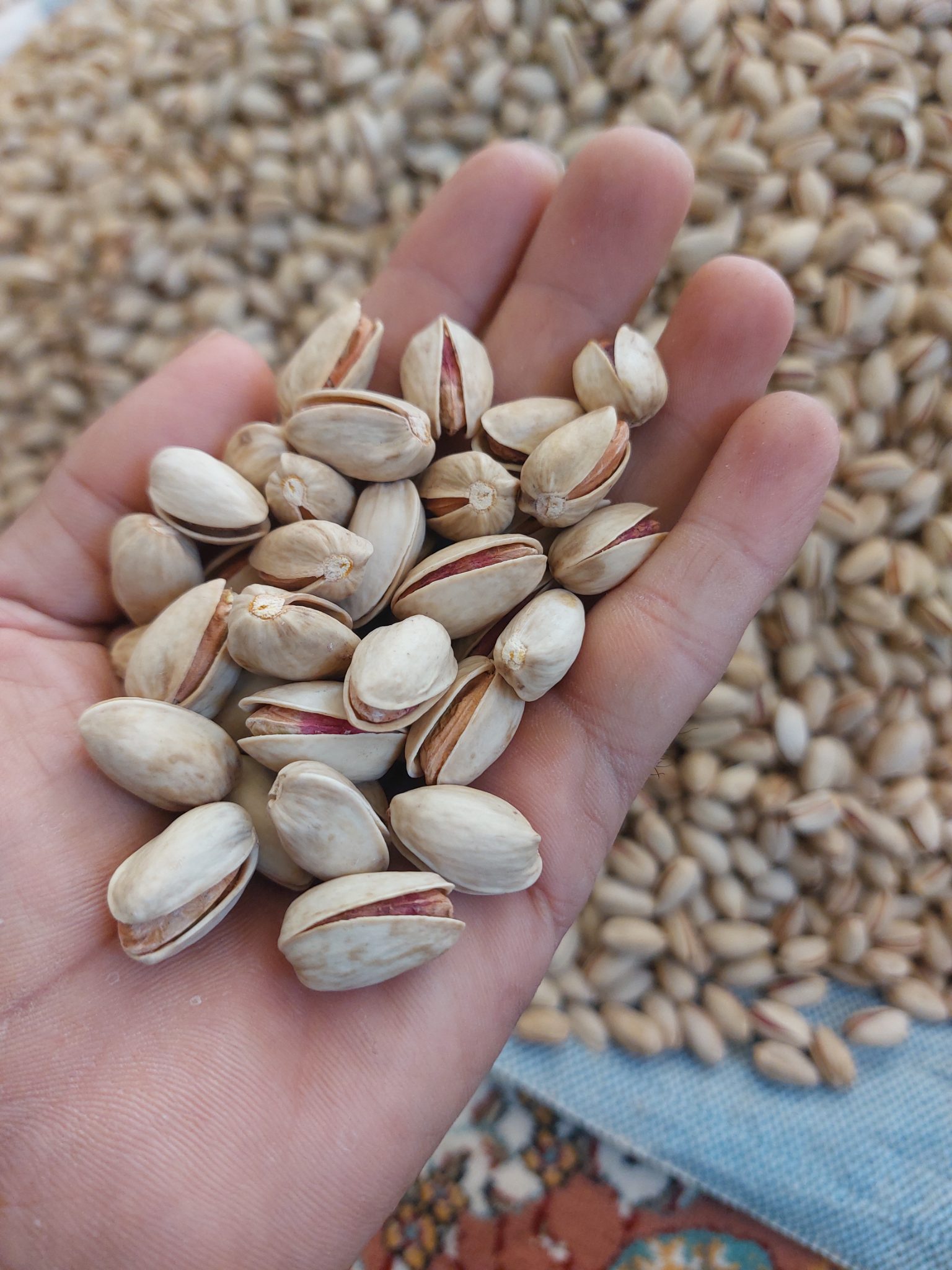 Akbari Pistachios