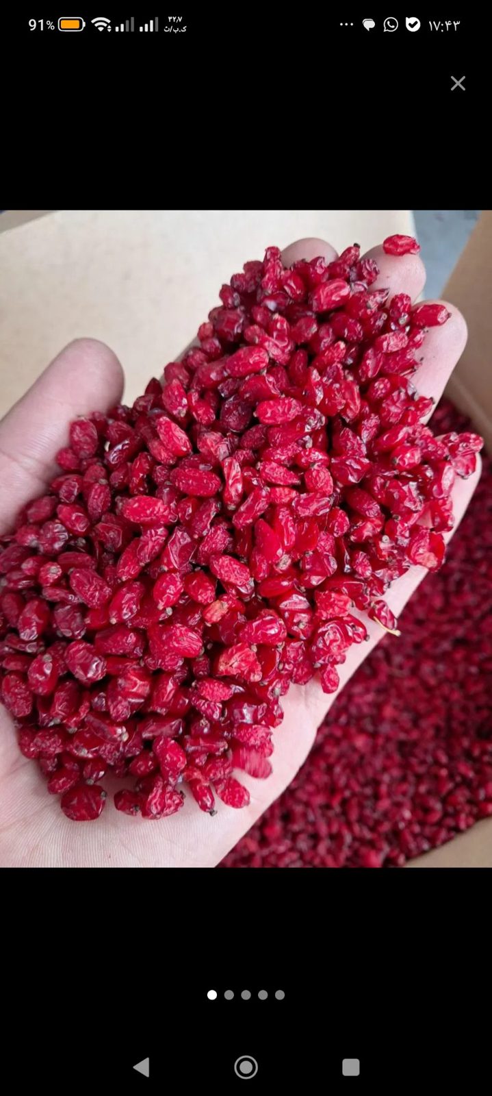 Karim Ranji Barberry