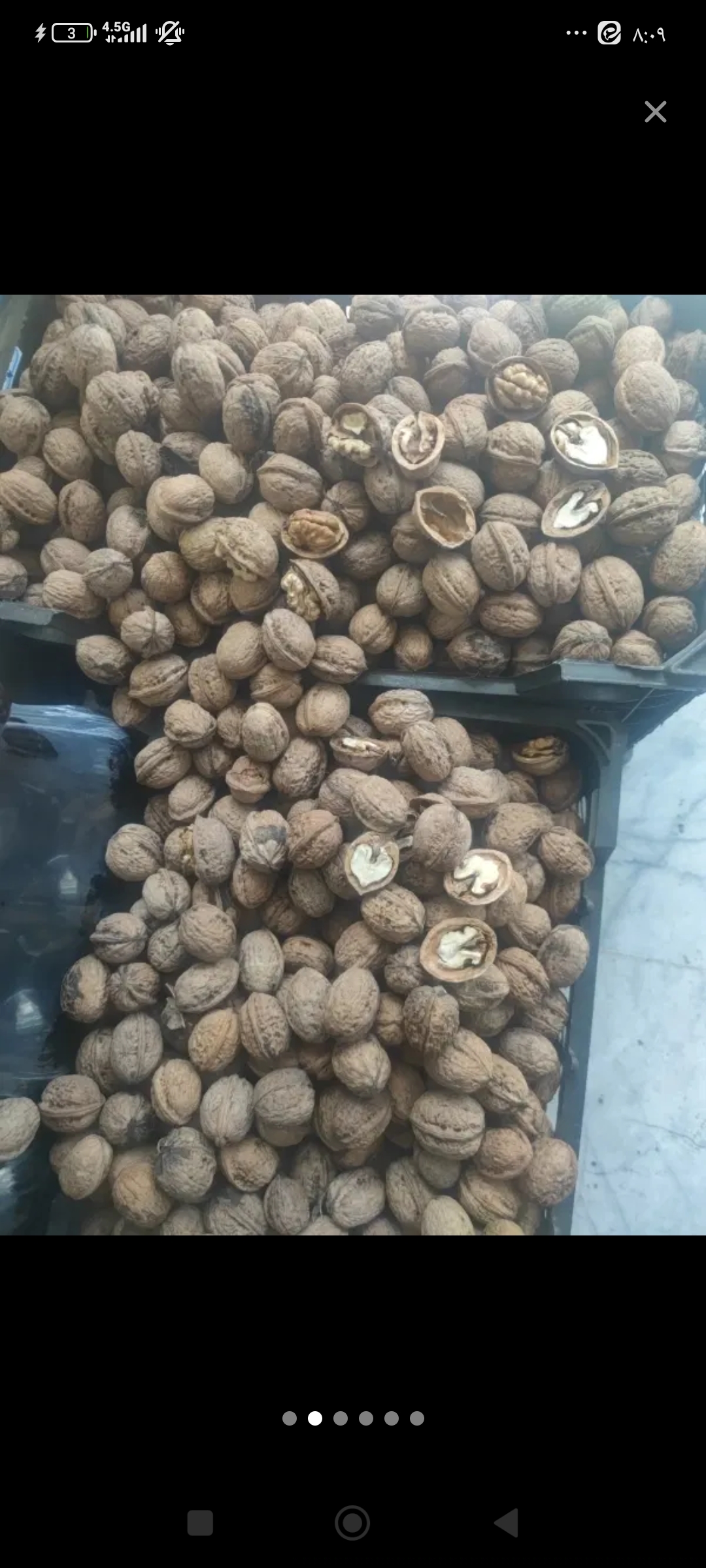 White walnuts with paper skins sent