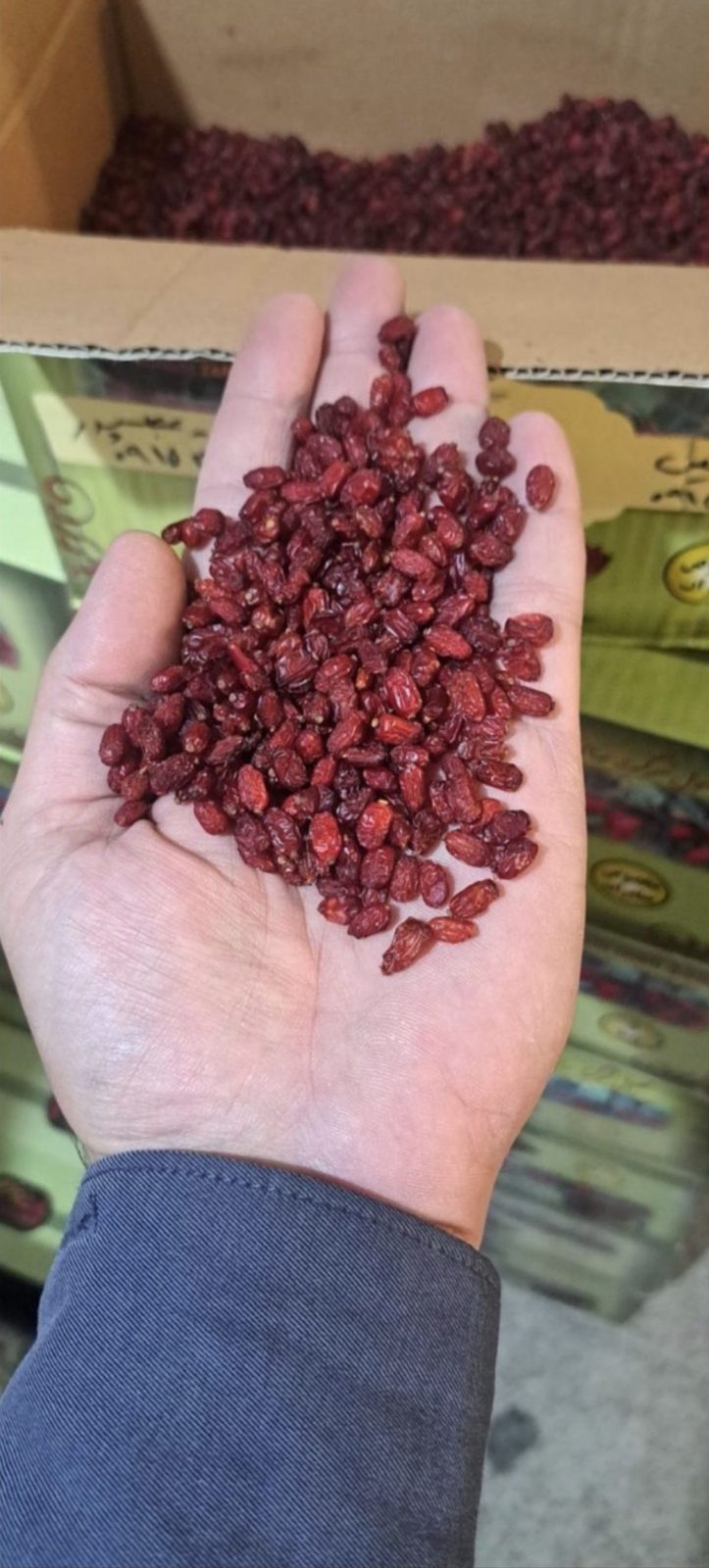 Premium Barberry