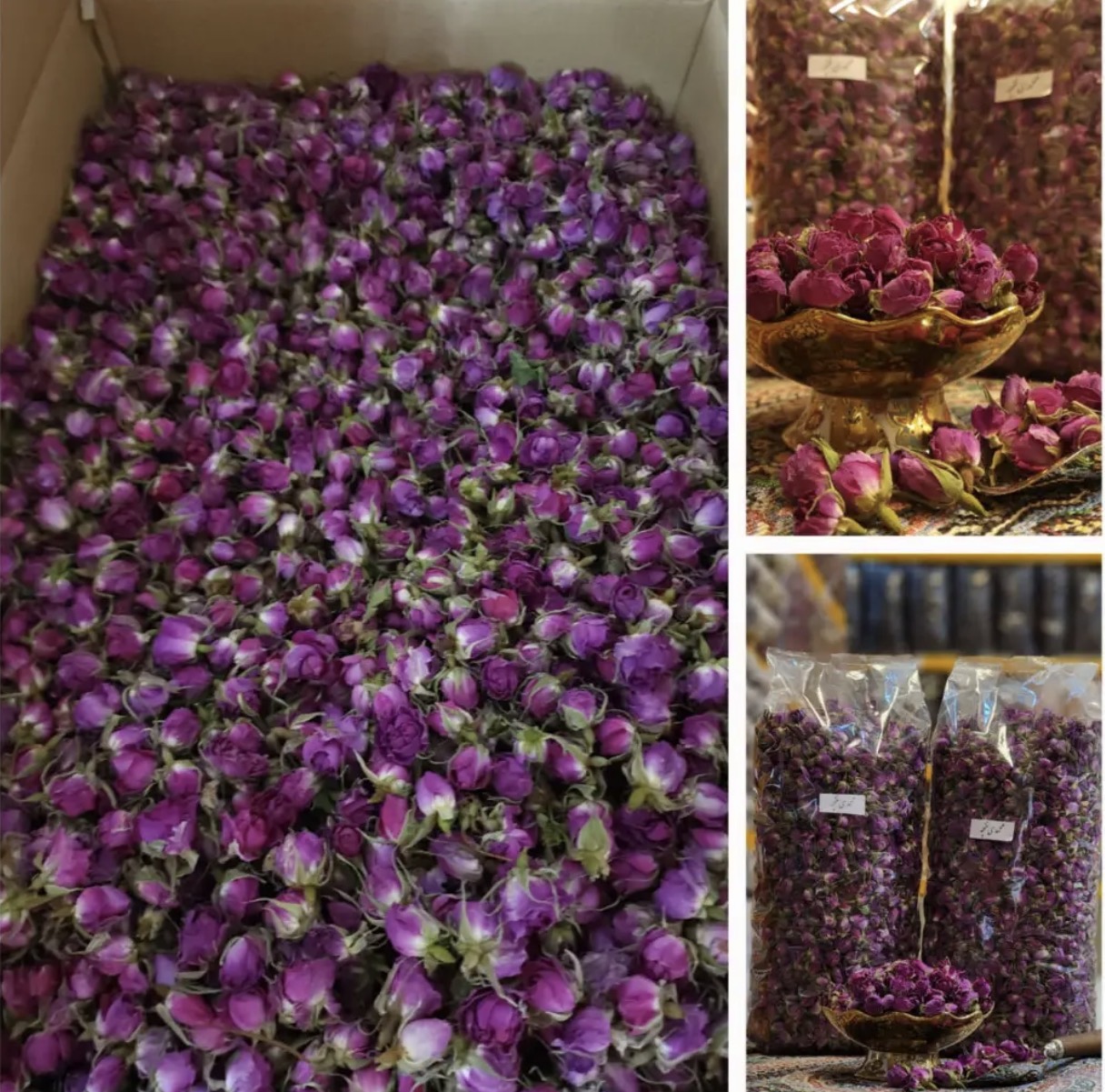 Lalehzar Kerman Export Damask Rosebuds