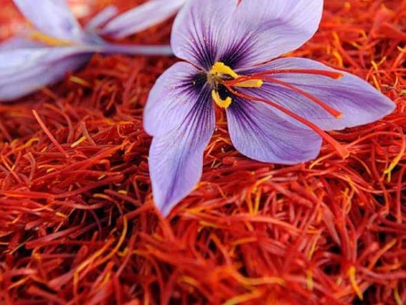Sargol Saffron
